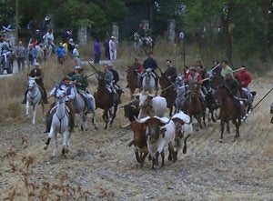 Los caballistas en el encierro por el campo. ::                             JAVIER FERNÁNDEZ