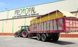 Una alfalfa que llega con el 30% de humedad a la deshidratadora y se seca con gas natural