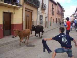 Un grupo de jóvenes disfruta de una suelta de vaquillas en Cigales. ::
J. FERNÁNDEZ