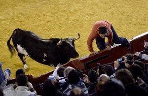 'Ratón', durante una exhibición taurina en la plaza de toros de Valencia. ::
DAMIÁN TORRES