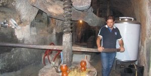 Las cuevas que miman la uva