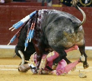 Juan José Padilla sufre una brutal cogida en Zaragoza