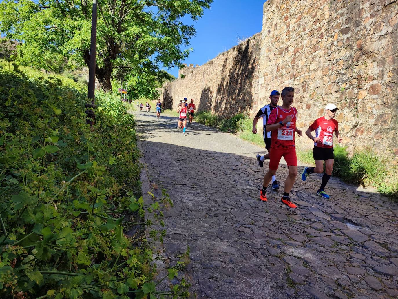 Momento de la Media Maratón