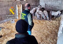 Agentes de la Guardia Civil en la inspección del ganado