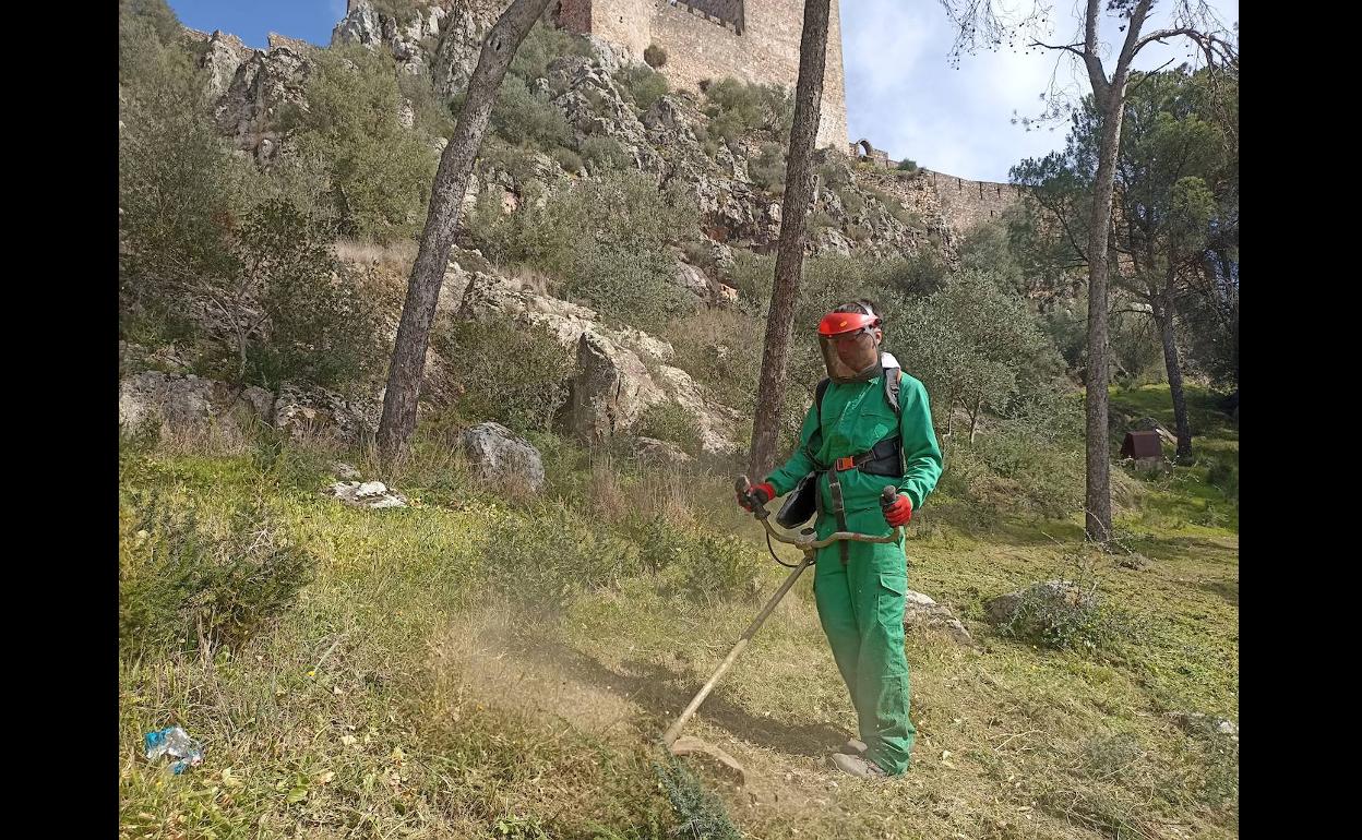 Un alumno desbrozando en Las Laderas