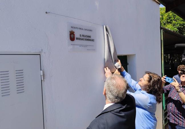 Descubrimiento de la placa en honor a Feliciano Briegas