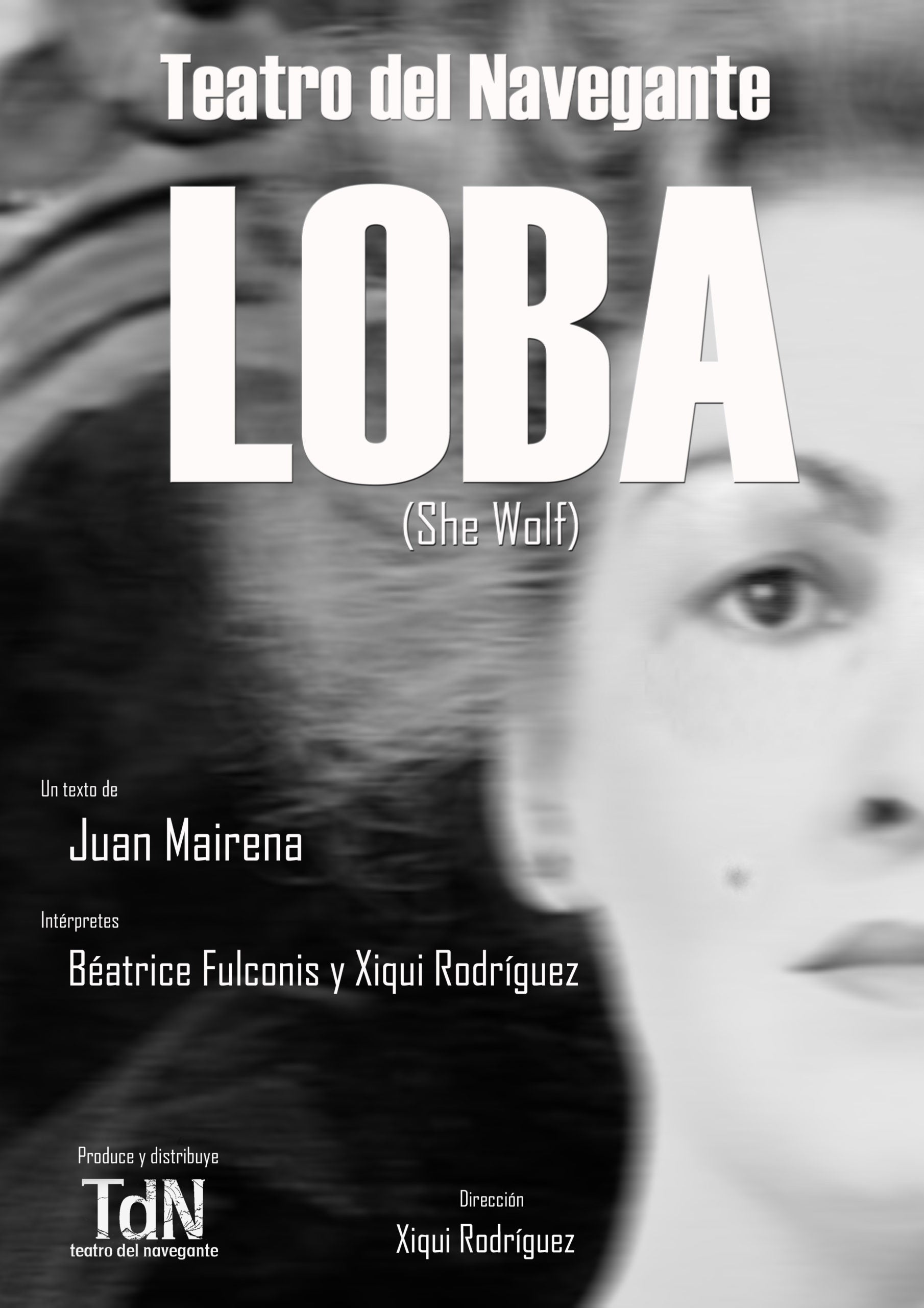 Cartel oficial de la obra