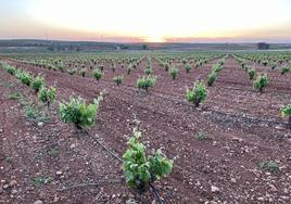 Los agricultores recuerdan que están a pocos meses de una nueva campaña.