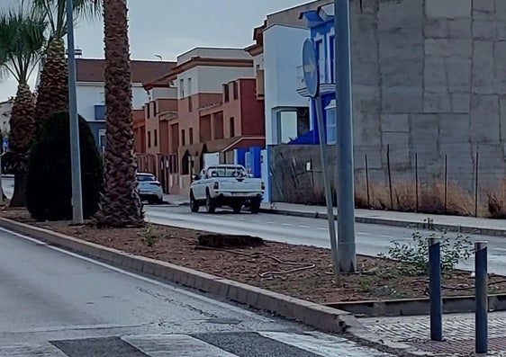 Palmera desaparecida en la avenida Miguel Hernández