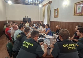 Participantes en la Junta Local celebrada este lunes en el Ayuntamiento almendralejense