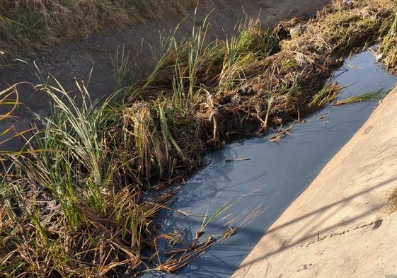 Cauce del arroyo Las Picadas a su paso por la ciudad