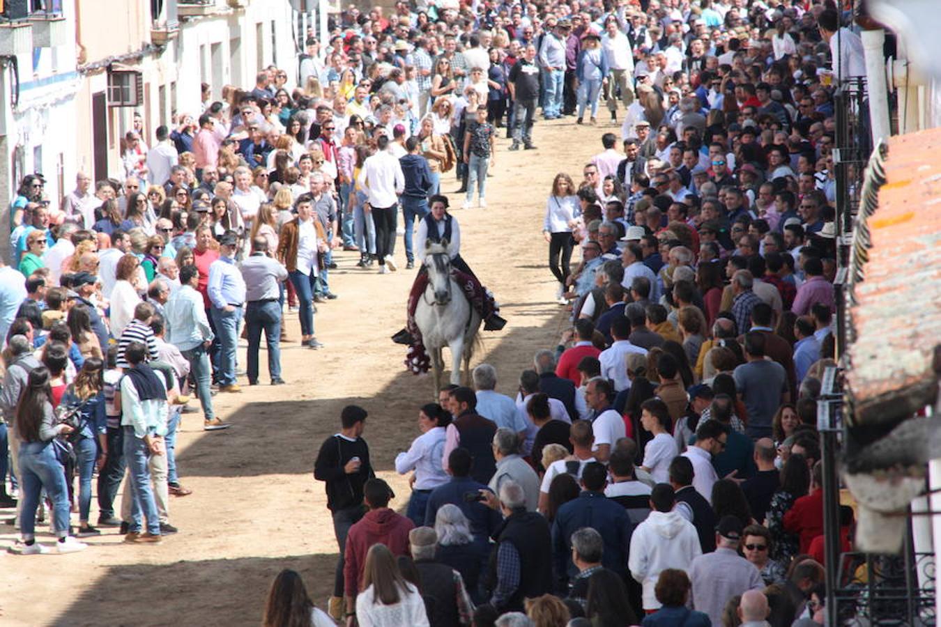 El pasado 22 de abril Arroyo de la Luz volvió a vibrar con el galopar de los caballos que recorrieron la Corredera, ocupada por unas 15.000 personas. En la fiesta participaron 160 jinetes y 4 carrozas, con unos 450 participantes. 