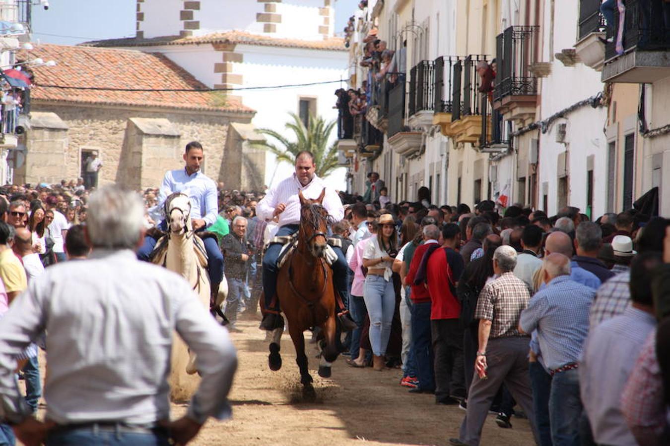 El pasado 22 de abril Arroyo de la Luz volvió a vibrar con el galopar de los caballos que recorrieron la Corredera, ocupada por unas 15.000 personas. En la fiesta participaron 160 jinetes y 4 carrozas, con unos 450 participantes. 