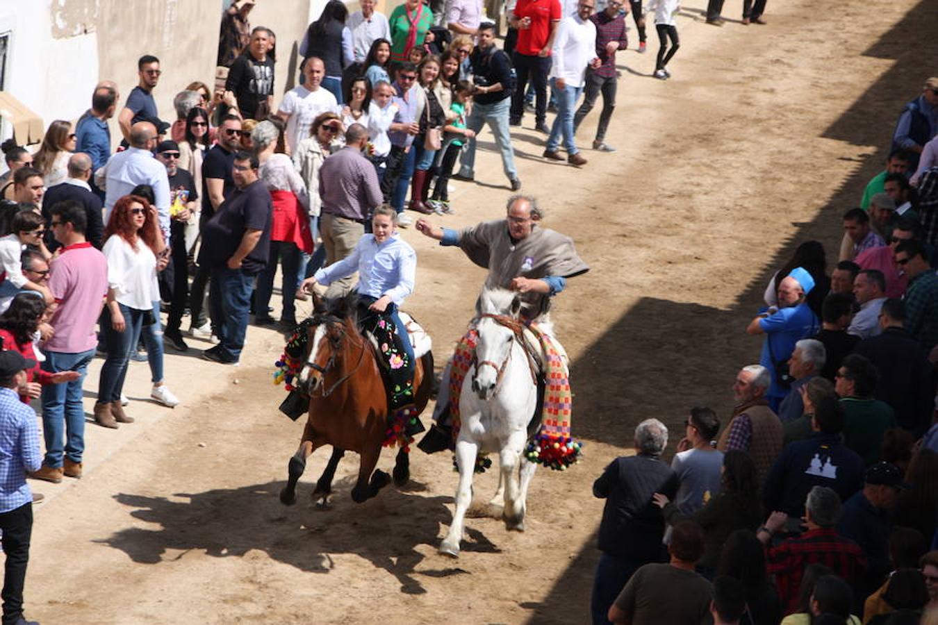 El pasado 22 de abril Arroyo de la Luz volvió a vibrar con el galopar de los caballos que recorrieron la Corredera, ocupada por unas 15.000 personas. En la fiesta participaron 160 jinetes y 4 carrozas, con unos 450 participantes. 