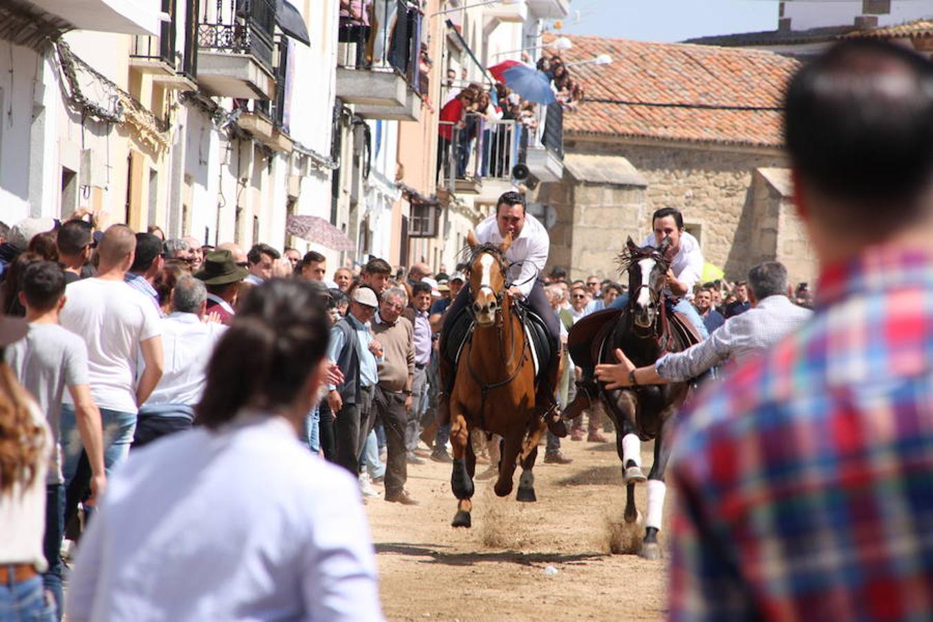 El pasado 22 de abril Arroyo de la Luz volvió a vibrar con el galopar de los caballos que recorrieron la Corredera, ocupada por unas 15.000 personas. En la fiesta participaron 160 jinetes y 4 carrozas, con unos 450 participantes. 