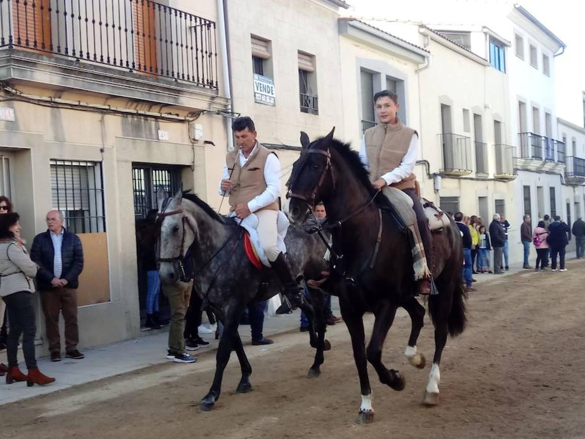 El pasado 22 de abril Arroyo de la Luz volvió a vibrar con el galopar de los caballos que recorrieron la Corredera, ocupada por unas 15.000 personas. En la fiesta participaron 160 jinetes y 4 carrozas, con unos 450 participantes. 