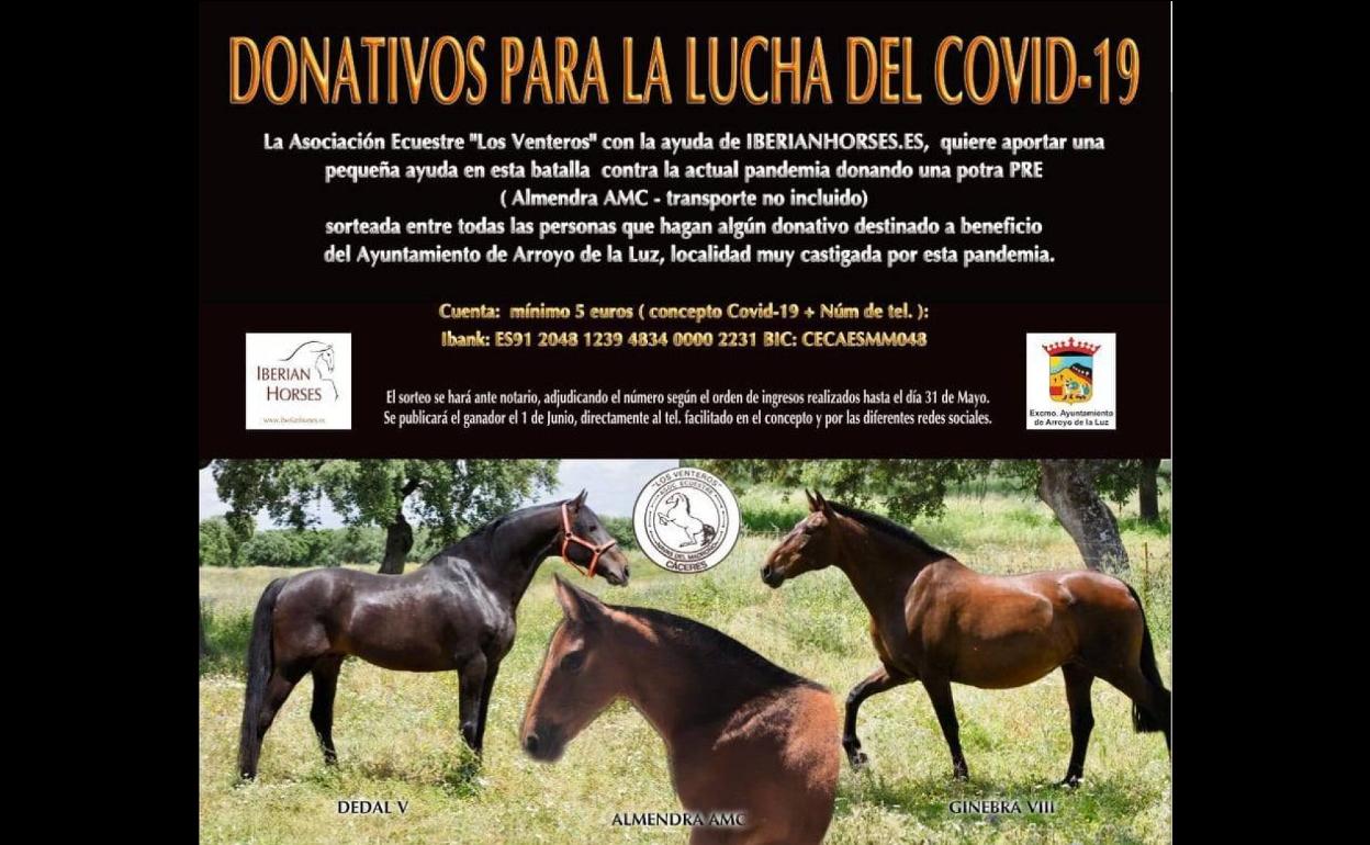 La Asociación Ecuestre Venteros rifa una potra para ayudar a Arroyo en la lucha frente al coronavirus