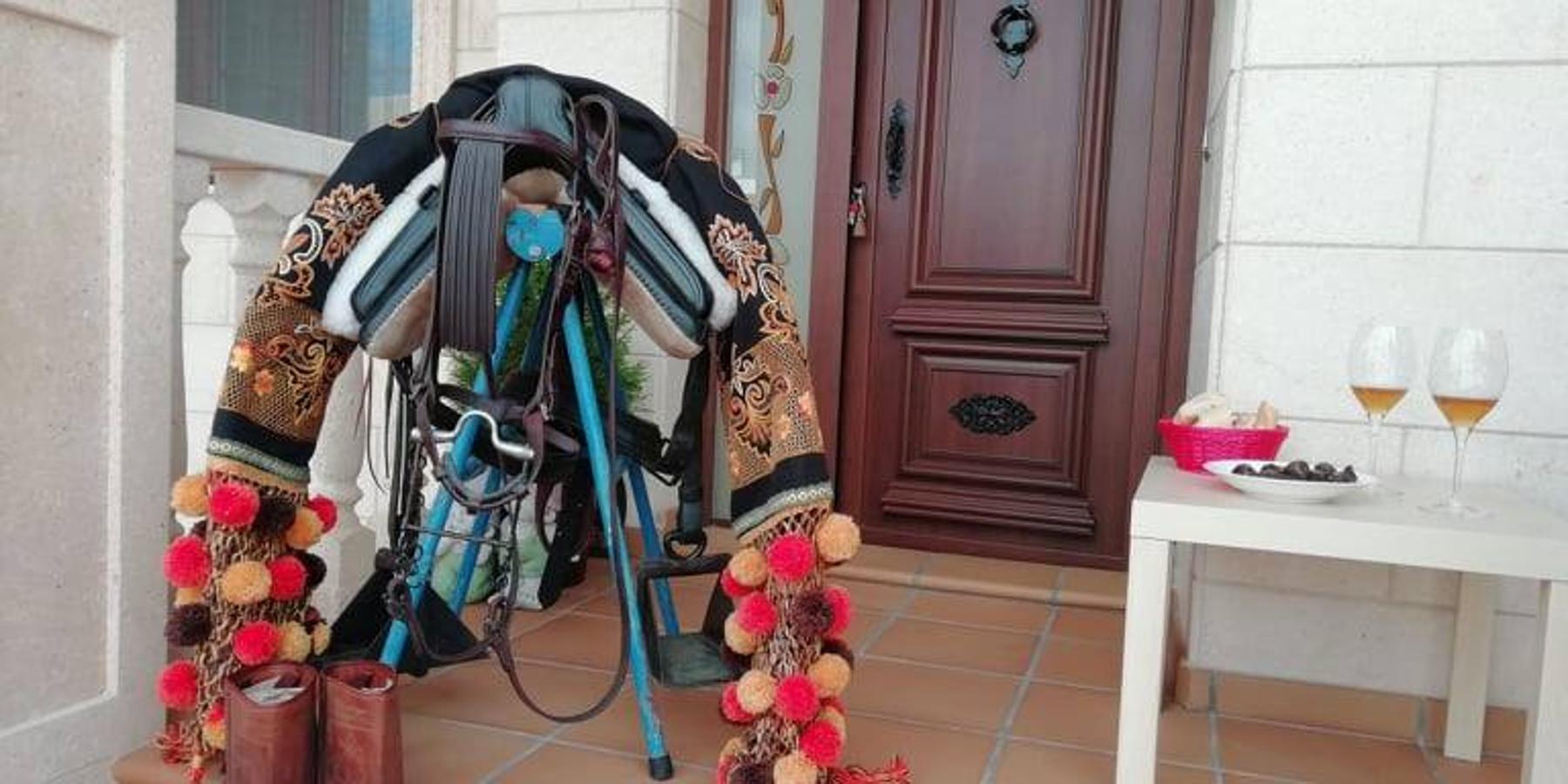 Fotos: Dia de la Luz en casa