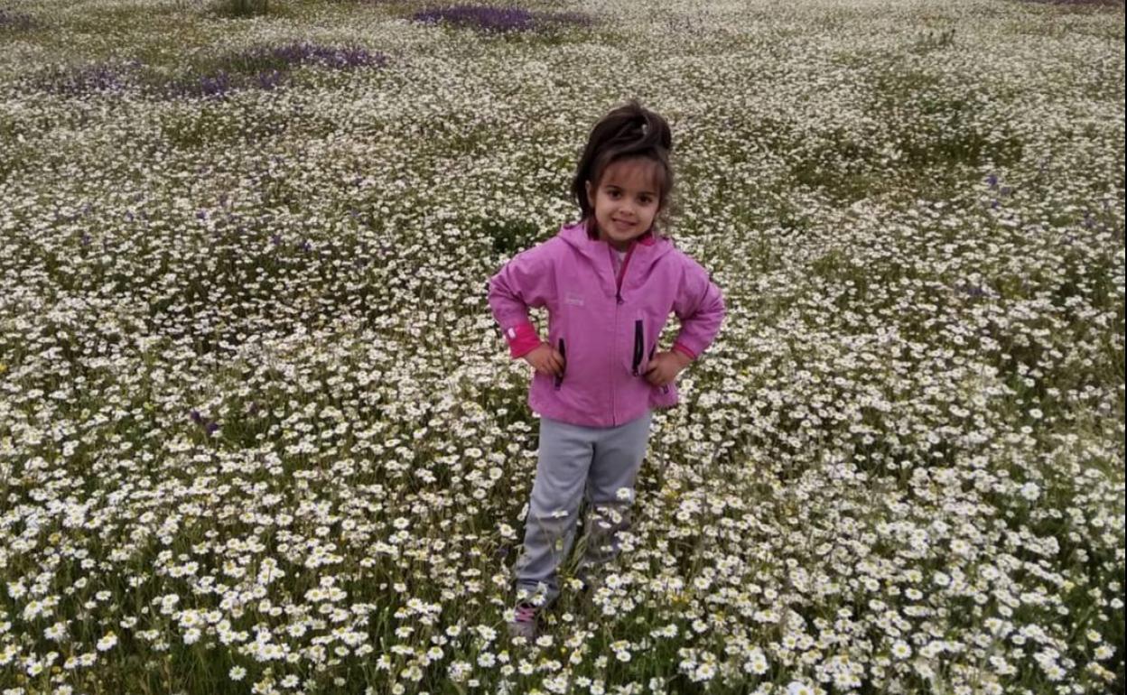 Una pequeña arroyana disfruta entre las flores. 