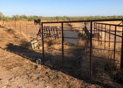Imagen secundaria 1 - Ya la semana pasada encontró en varias ocasiones las cancillas abiertas y los candados arrancados. 