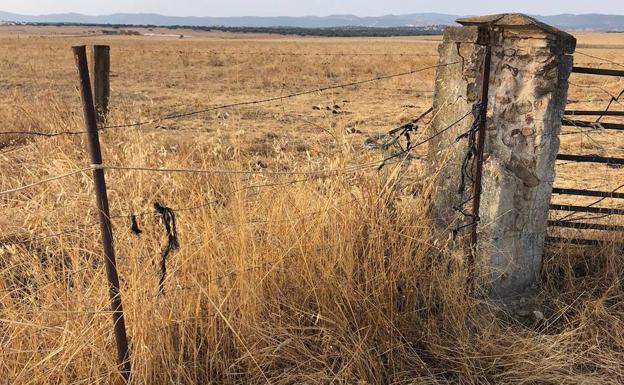 Imagen principal - Algunas de las zonas en las que se produjeron los daños. 