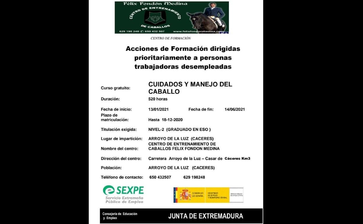 Curso de Cuidados y Manejo del Caballo
