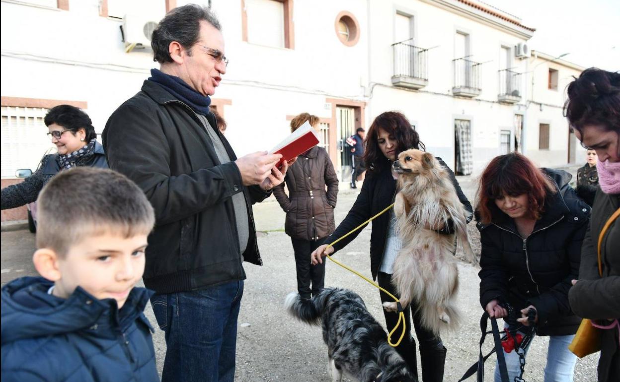 Bendición de los animales del pasado año. 