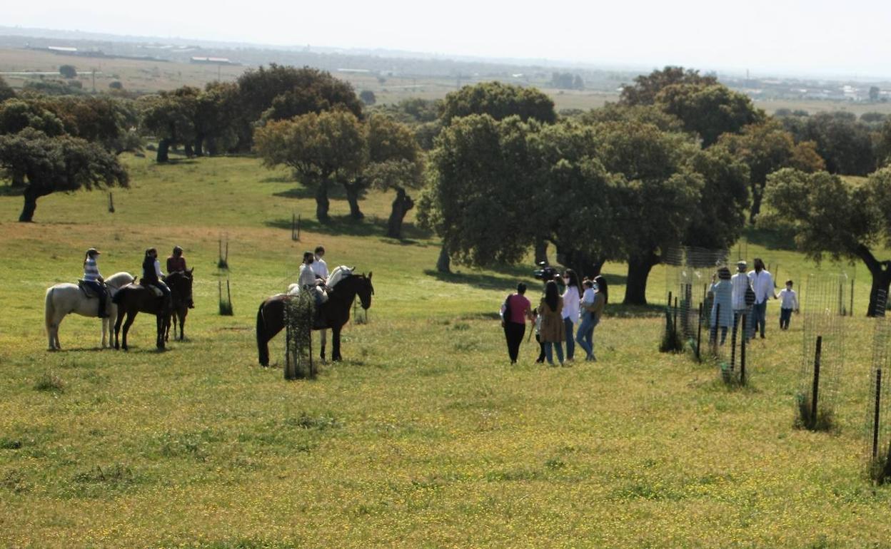 Varias personas a caballo durante la mañana de hoy en la Dehesa de la Luz. 