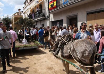 Imagen secundaria 1 - Carrozas del 2019. 