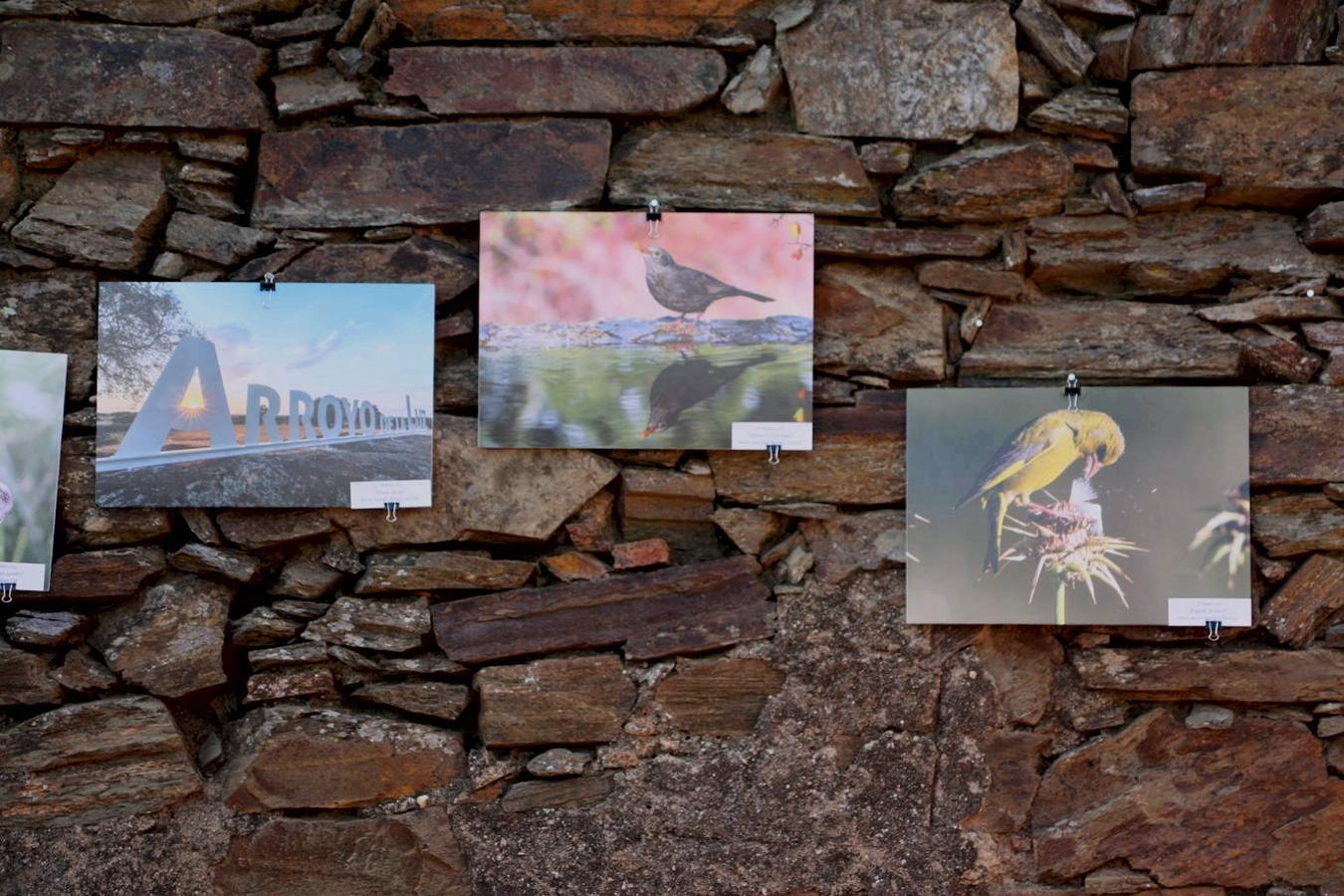 Fotografías ganadoras del concurso fotográfico 