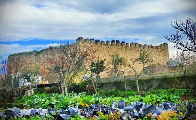Huertas arroyanas y Castillo de los Herreras del siglo XV. 