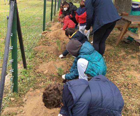 Imagen principal - El Centro de Interpretación cuenta con un nuevo huerto ecológico gracias a la actividad 'La Botica de la Dehesa'