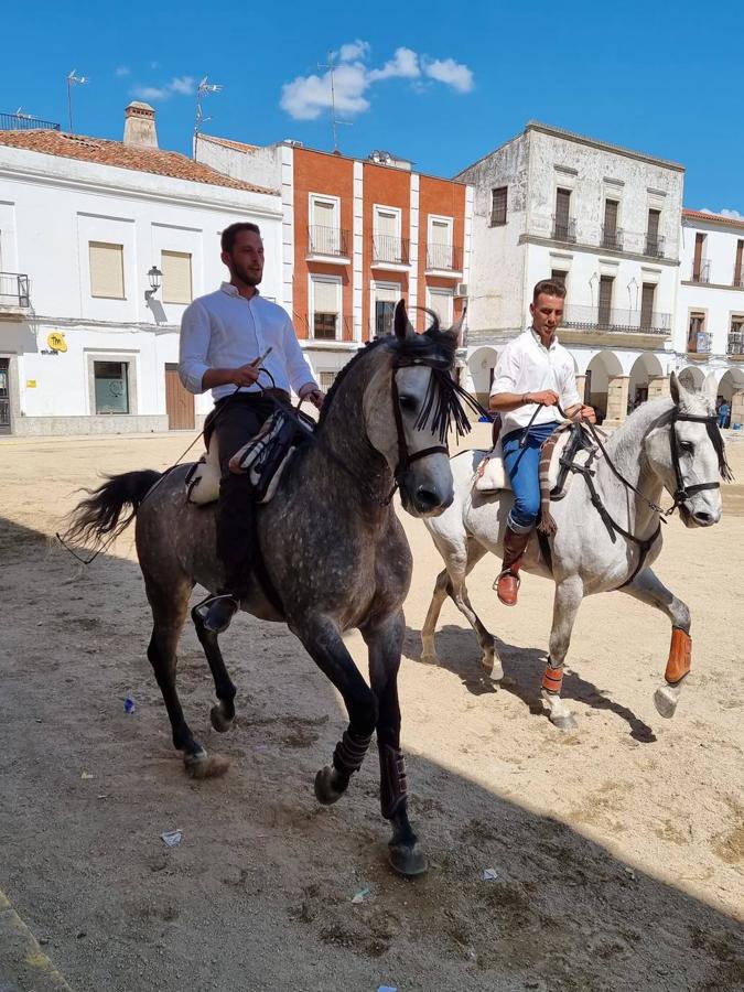 Fotos: Día de la Luz 2022
