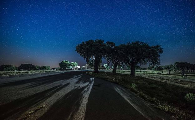 Imagen principal - La &#039;Dehesa de la Luz&#039; es declarada Parque Periurbano de Conservación y Ocio
