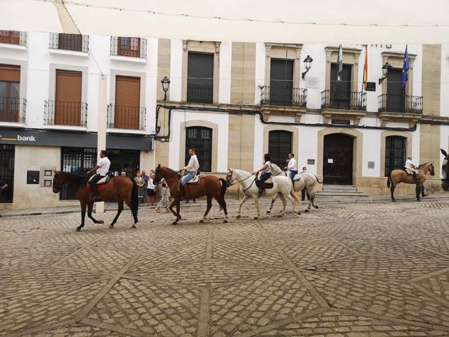 Paseo de cabllos. 