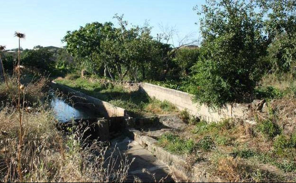 Huertas de Arroyo de la Luz. 