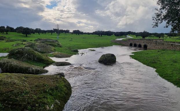 Imagen principal - Imágenes de la dehesa. 