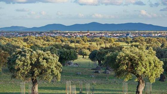 La dehesa arroyana, entre otros entornos naturales de la Red Extremeña de Desarrollo Rural