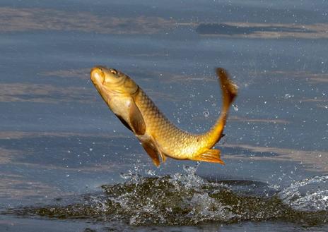 Imagen secundaria 1 - Juan Luis Bermejo gana el Certamen Fotográfico de Medio Ambiente de Arroyo de la Luz