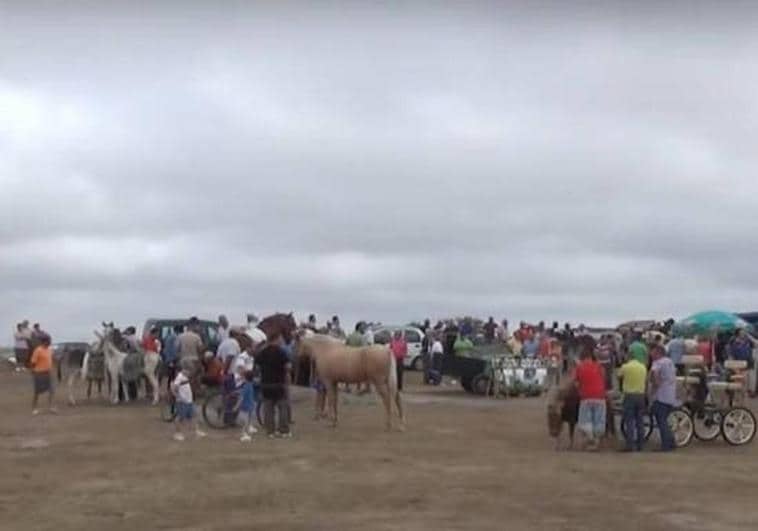 Feria de ganado de Arroyo de la Luz. Imagen de archivo.