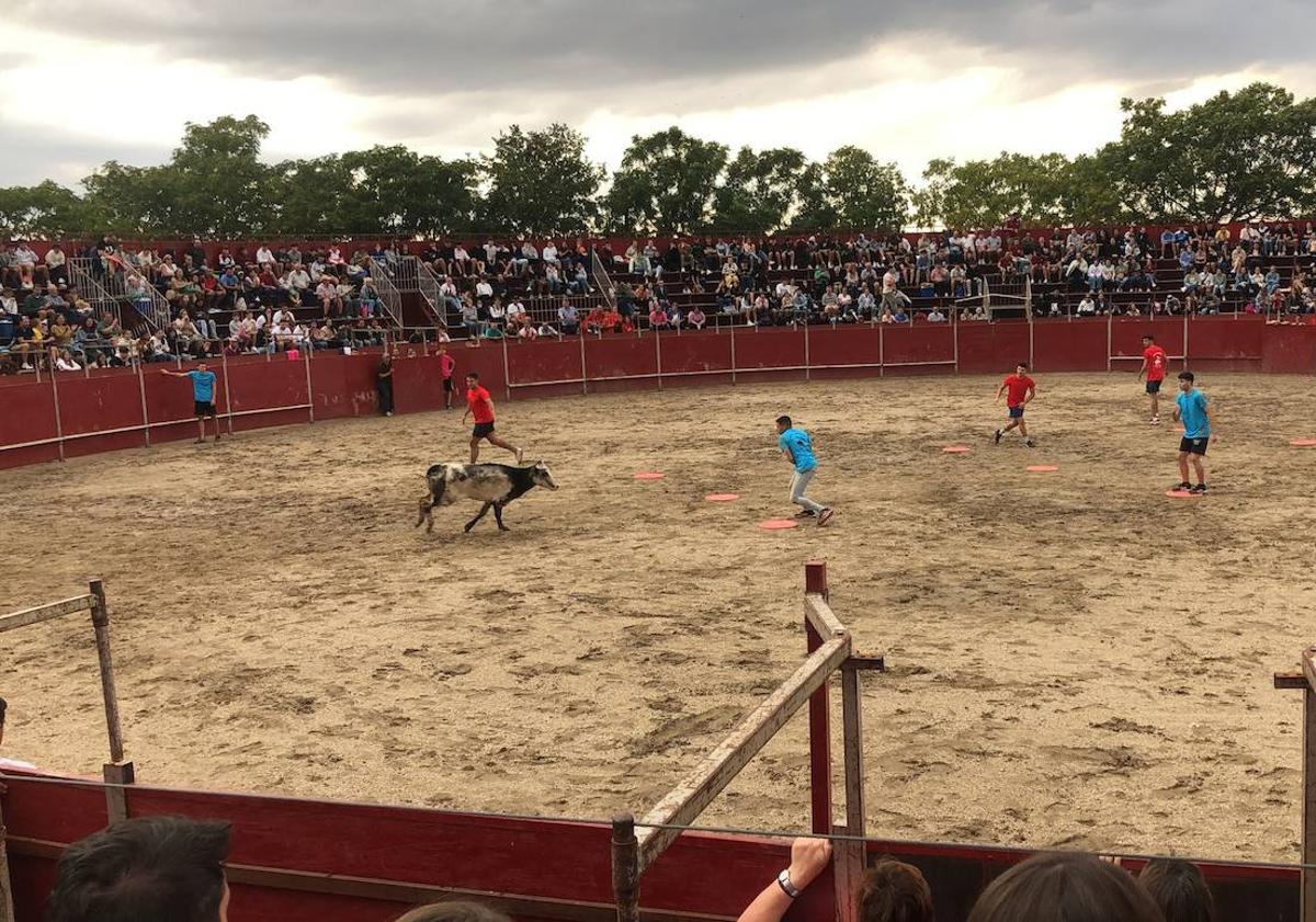 Imagen principal - 4 equipos se enfrentaron a las pruebas del Grand Prix de Arroyo de la Luz
