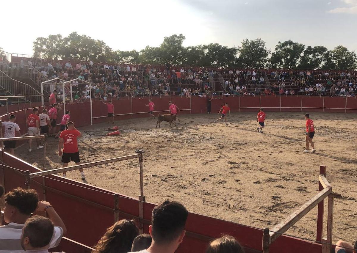 Imagen secundaria 1 - 4 equipos se enfrentaron a las pruebas del Grand Prix de Arroyo de la Luz