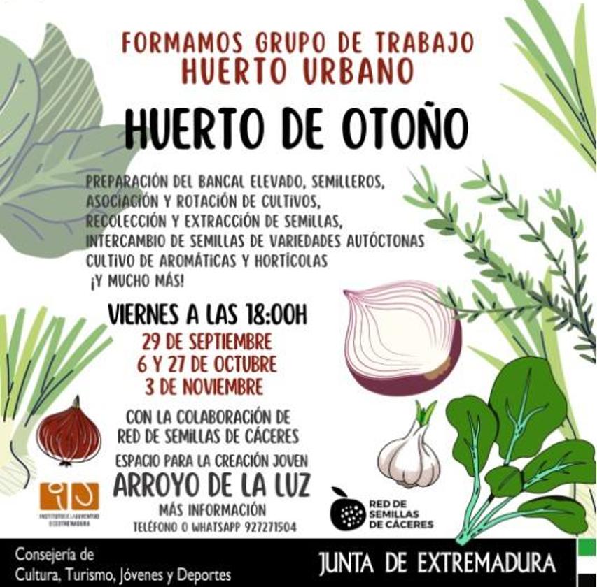 El ECJ comienza con los preparativos para sembrar un huerto urbano