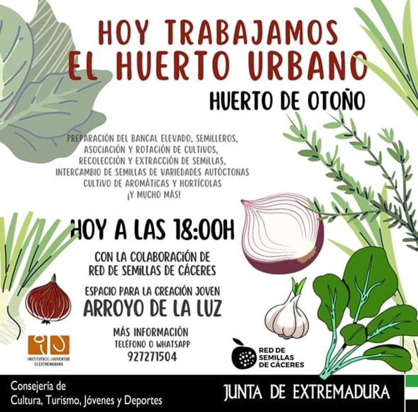 El ECJ sigue trabajando en su huerto urbano