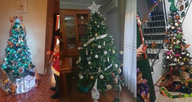 Imagen principal - Árboles ganadores. 