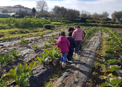 Imagen secundaria 1 - Arroyo de la Luz disfrutó de sus Coles con Buche