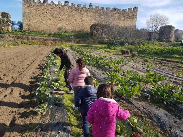 Taller infantil en la huerta. 