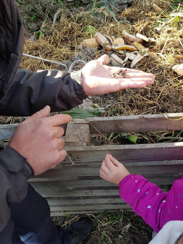 Taller infantil en la huerta. 
