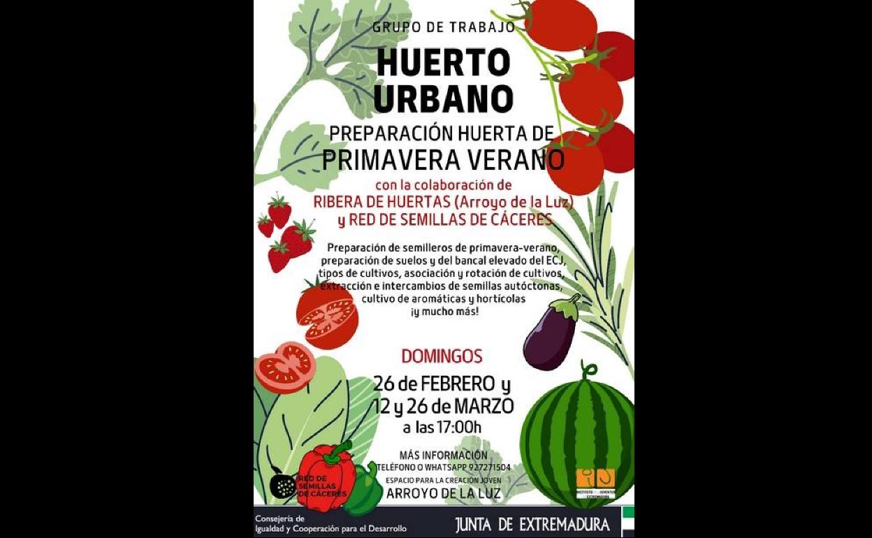 El ECJ crea un grupo de trabajo para preparar su huerto urbano