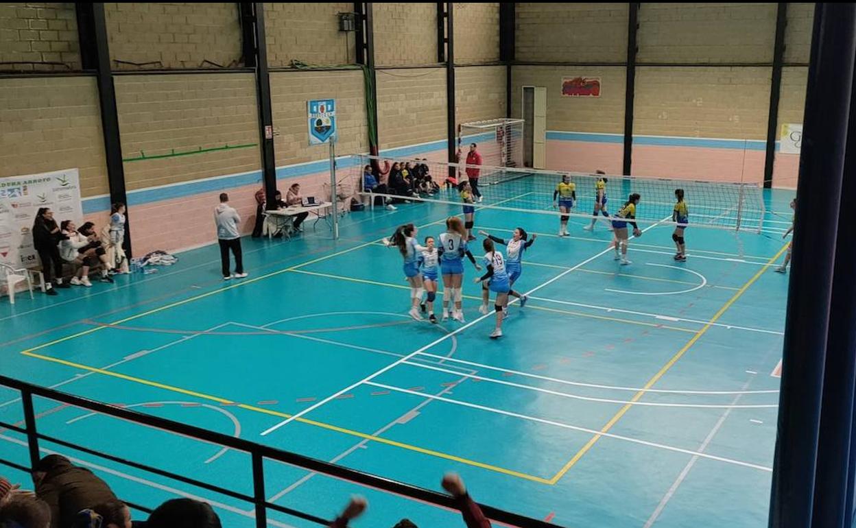 Los equipos alevín, infantil y juvenil del voleibol arroyano se clasifican para la siguiente fase